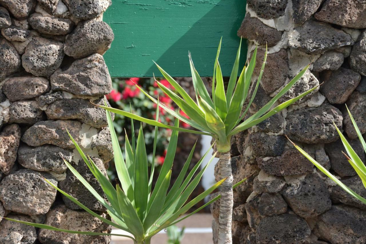 Ave Paraiso - Cozy And Sunny House Puerto del Carmen  Buitenkant foto